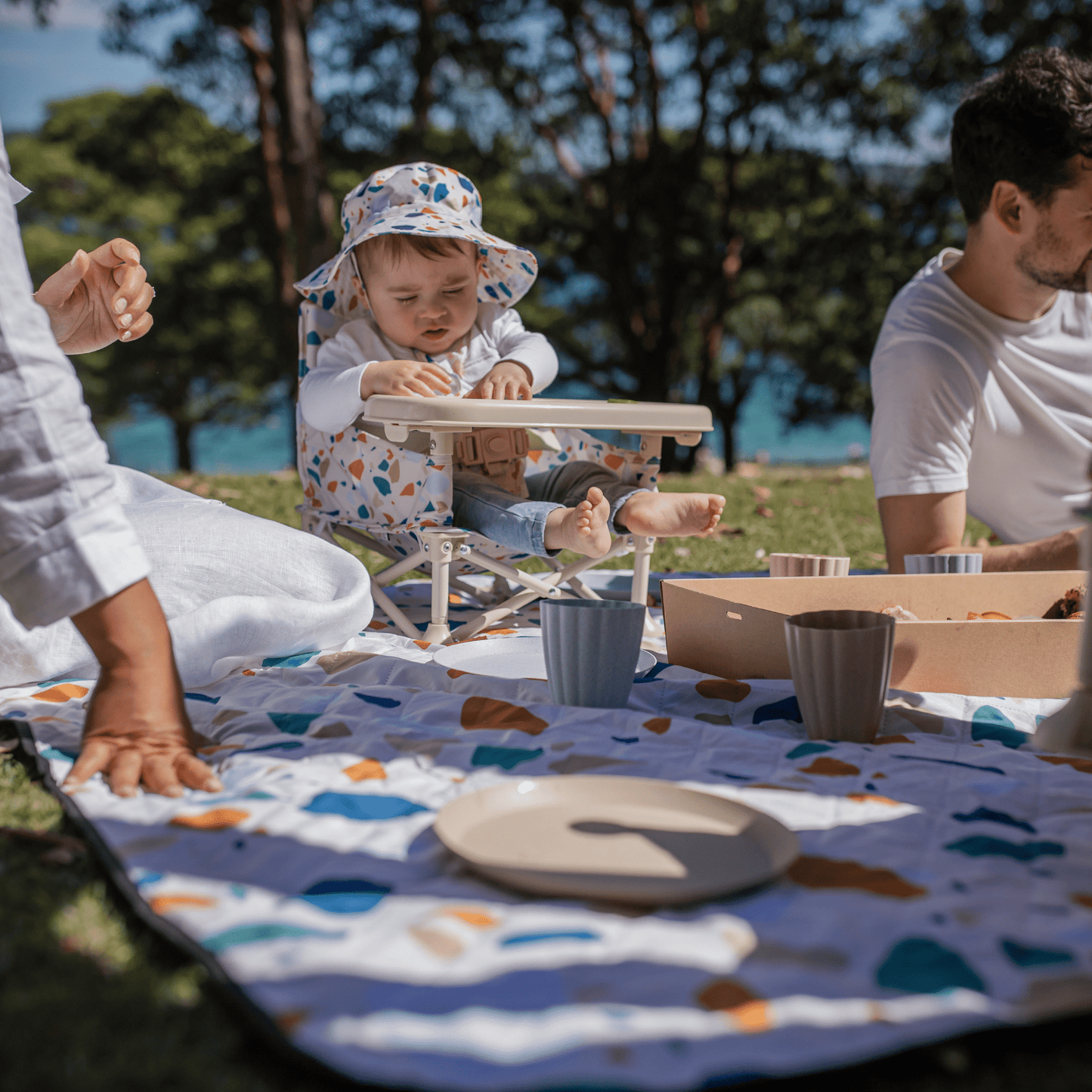 Charlie Picnic rug