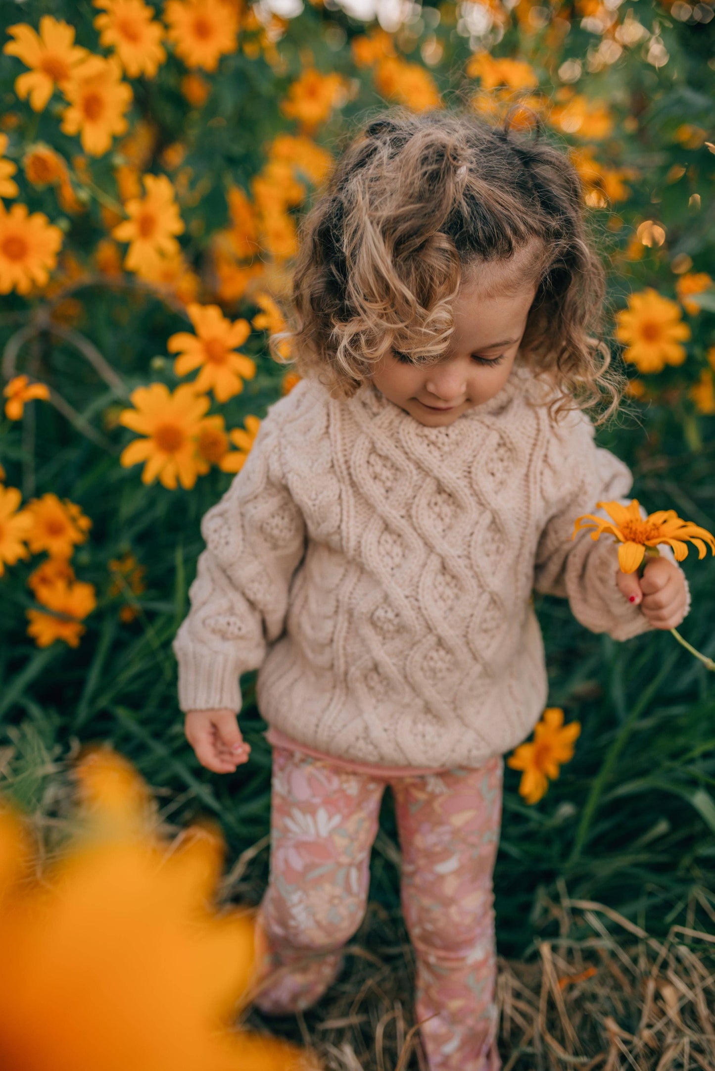 Shaun Knitted Jumper - NOUGAT